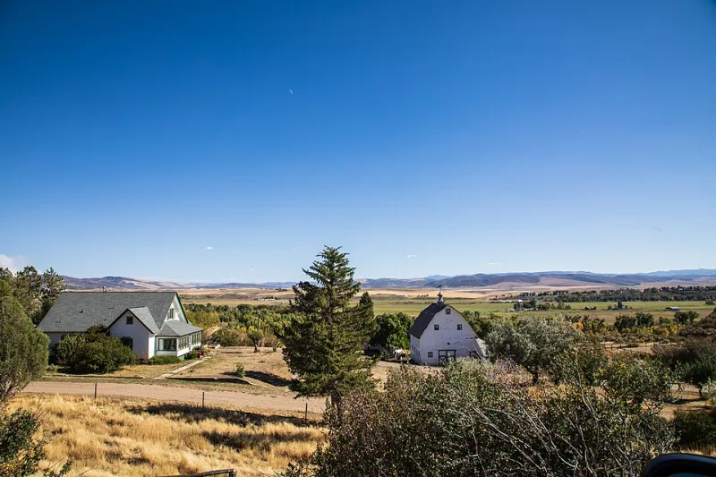 No Clinic for Miles: How Online Physicians Are Rewriting Healthcare Access in Rural America